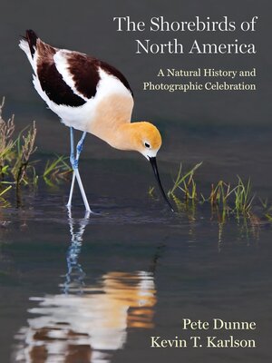 cover image of The Shorebirds of North America